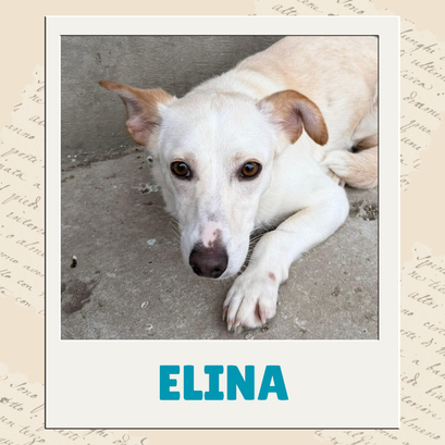 Elina