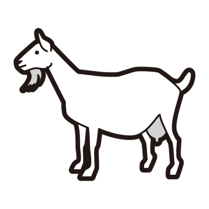 #goat　#ヤギ
