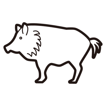 #boar　#猪