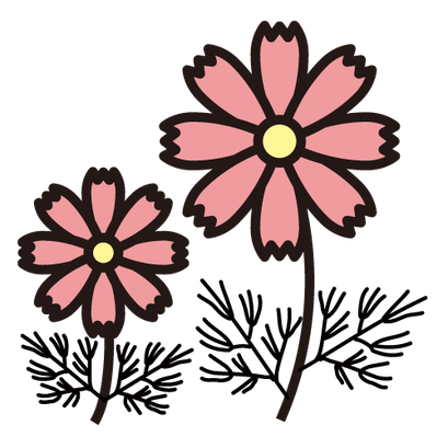 #sachi-studio　#flowers　#草花　#cosmos　#コスモス