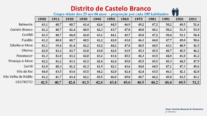Distrito de Castelo Branco – Grupo etário dos 25 aos 64 anos 