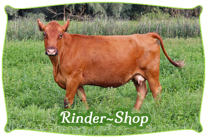 Rinder~Shop