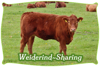 Weiderind-Sharing