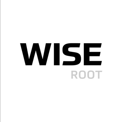 Kemppi Wise Root