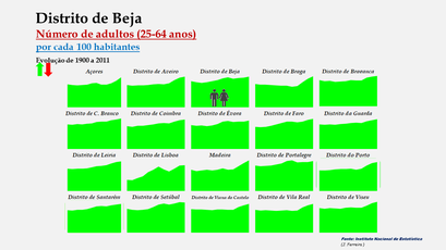Distrito de Beja - O grupo etário dos 25 aos 64 anos nos distritos portugueses (1900-2011)