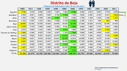 Distrito de Beja - População dos concelhos (25-64 anos) 1900-2011