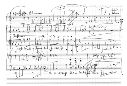 Noten zum Mohnfeld