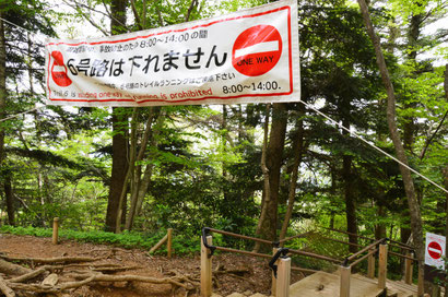 6号路ゴール付近にて.通りすがりの子どもさんを写してしまっていたのですが,手元の画像編集ソフト(フリー)で「オブジェクト加工処理」が簡単にできてしました.少々恐ろしいです…