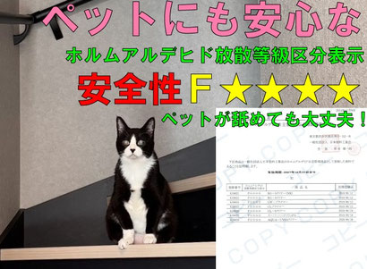 ペットのためのフロアコーティング