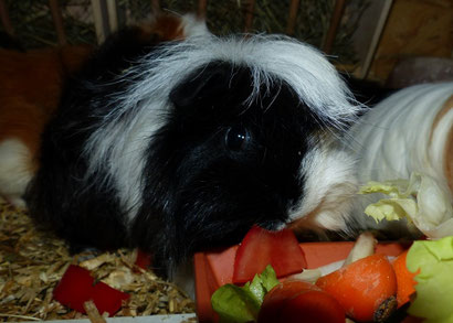 "Ich liebe Tomate"