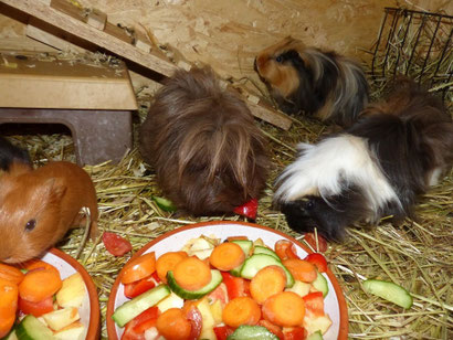 "Die Paprika ist meine Zunge" Bähhh...