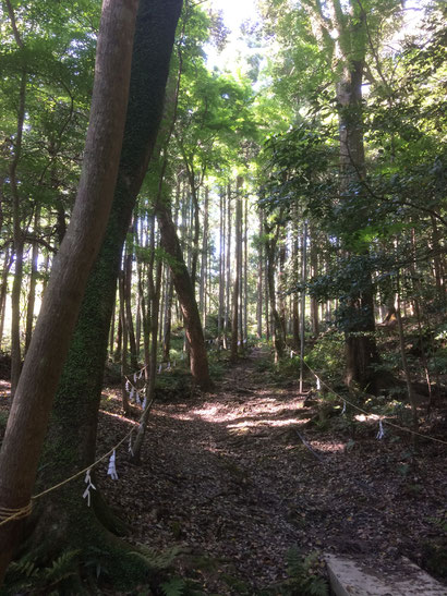 出雲大神宮(筆者撮影)