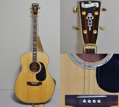 テナーギター tenor guitar