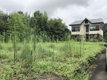 千葉県-千葉市-一級建築士-一級建築士事務所-建築事務所-建築家-新潟-高断熱-heat20g1-heat20g2-耐震等級-許容応力度設計-燃費計算