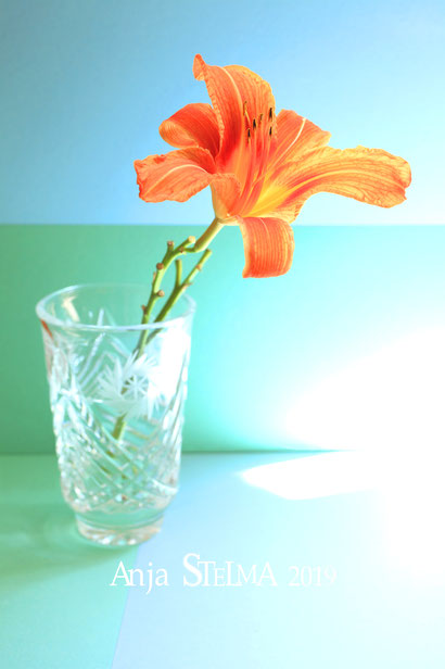 Fleur en vase de cristal