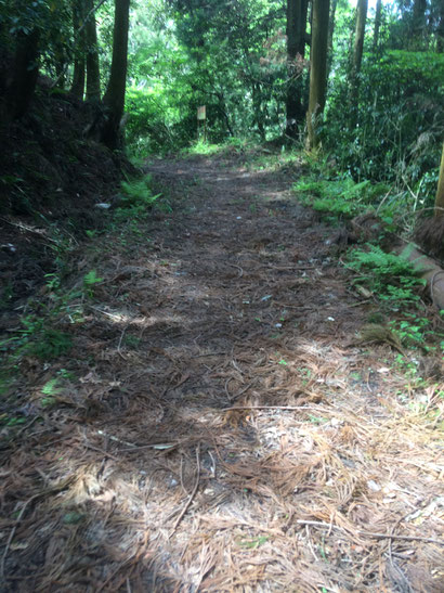 日下山直越の道（筆者撮影）