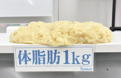 モリマサエステスクール痩身理論、体脂肪1kg