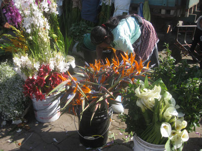 am Blumenmarkt