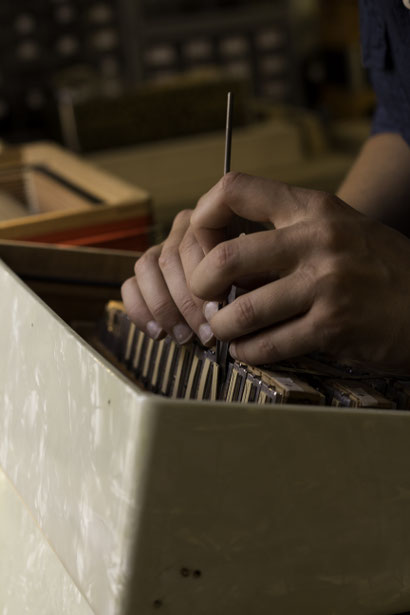 accordage accordeon