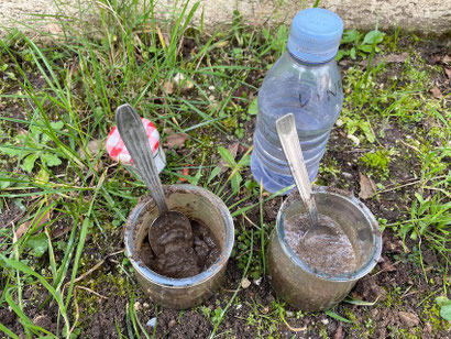 Comment aménager son jardin : test de pH du sol