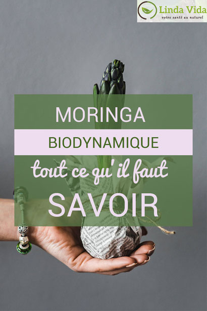 Tout ce qu’il faut savoir sur le moringa biodynamique de chez Linda Vida (compléments alimentaires et super-aliments d'excellence) Pour une santé boostée