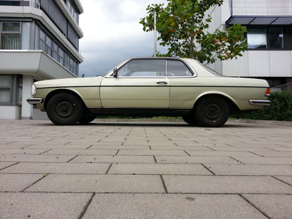 Mercedes 230CE W123 Silberdistel