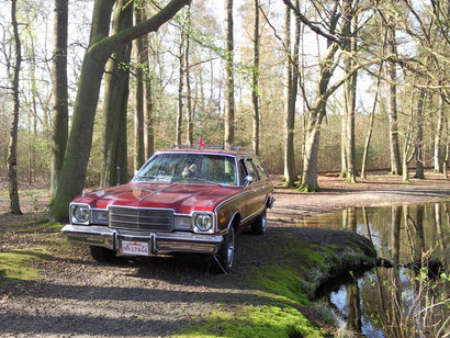 Plymouth Volare in freier Wildbahn . . .