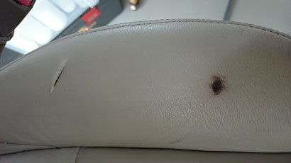 ジャガーのシート サイドサポートの革の裂けとタバコの焦げ跡のリペアです。