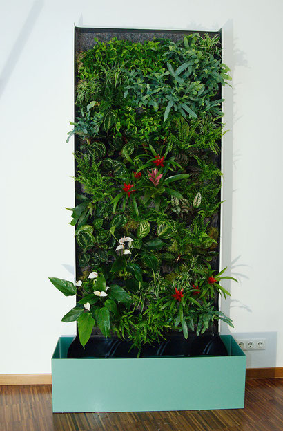 Grüne Wand bei Flowercompany in Wien