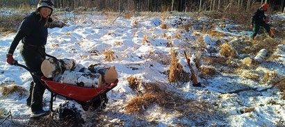 Holztransport mit Akku-Power - Ein geländegängiges und trotzdem bodenschonendes Hilfsmittel.