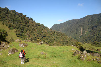 Nationalpark Los Nevados Lagune Otun Kolumbien Trekking Wandern