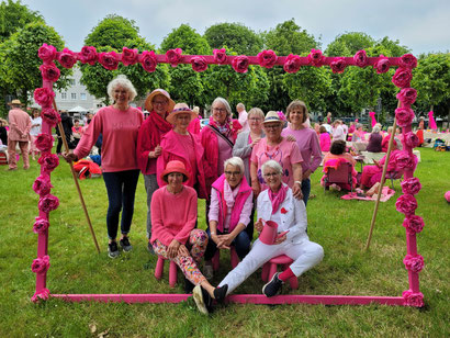 Beim "Picknick in Pink" waren wir in diesem Jahr auch wieder dabei. Eine fröhliche Truppe