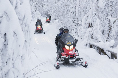 Schneemobile auf Wintertour durch verschneite Wälder bei Ranua in Lappland – geführtes Abenteuer mit Motorschlitten