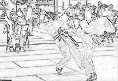 Ippon (一本) es un término japonés utilizado en arte marciales de ese país Judo, Karate y otras. Es una expresion, empleada en campeonatos,(equivalente a un punto, con matices de estilos; sea bien Karate Shobu Ippon, o Sambon Ippon; o Judo)