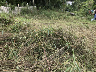 　9月6日　　草刈り後の草