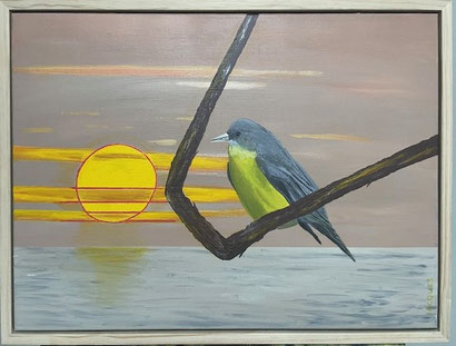 "Yellow Robin" 65cm x 50cm Acrylic on canvas, pinewood frame $350 (excluding freight)