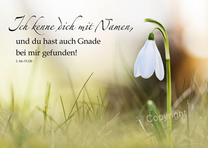 Schneeglöckchen, Christliche Karten, Mirjam Dentler