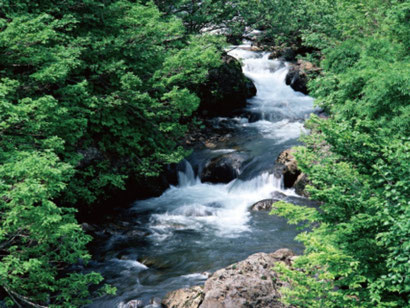 天竜川