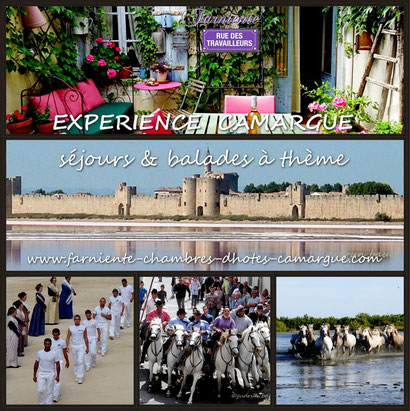 bnb accommodation in Aigues-Mortes, your FrenchCoach's home