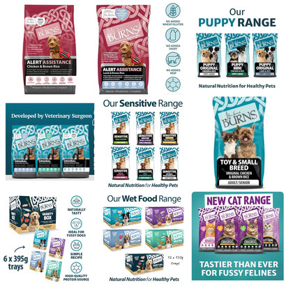 NOW STOCKING THE NEW SENIOR RANGE WHICH COMES IN TOY AND SMALL BREED AND ORIGINAL