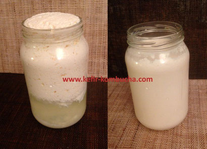 kefir de lait fromage frais