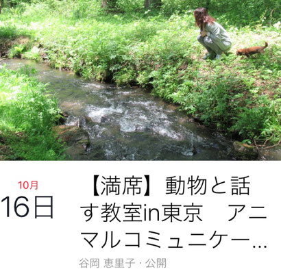 大分市｜別府市｜お散歩代行｜ペットホテル｜ペット