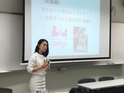大分|別府|ペットシッター|お散歩代行|ペットホテル|アニマルコミュニケーション|アニマルヒーリング|ヒーリング|動物通訳|動物通訳士|ペットロス|動物と話す|問題行動|犬噛む|吠える|グリーフケア