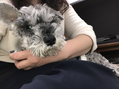 大分|別府|ペットシッター|お散歩代行|ペットホテル|アニマルコミュニケーション|アニマルヒーリング|ヒーリング|動物通訳|動物通訳士|ペットロス|動物と話す|問題行動|犬噛む|吠える|グリーフケア