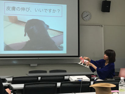 大分|別府|ペットシッター|お散歩代行|ペットホテル|アニマルコミュニケーション|アニマルヒーリング|ヒーリング|動物通訳|動物通訳士|ペットロス|動物と話す|問題行動|犬噛む|吠える|グリーフケア