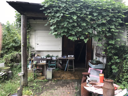 ようこそ Lierさんへ