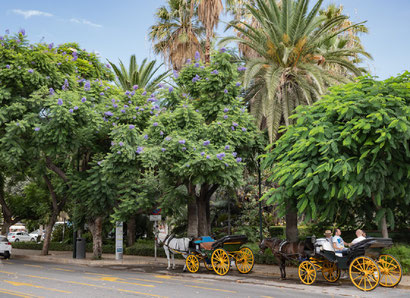 Bild: Plaza de la Marina in Málaga, Spanien