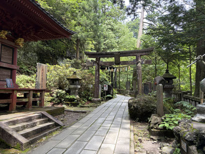 苔のついた石灯籠と木々に囲まれた参道が続く、榛名神社の森の中の風景。