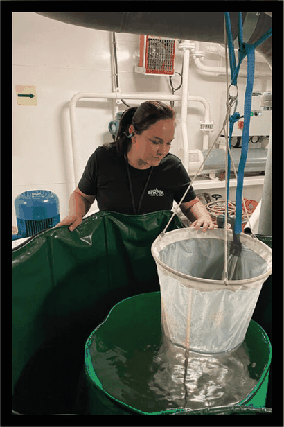 Claudia from Ankron controls the sampling process for commissioning testing of ballast water