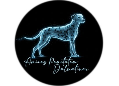 Dalmatiner Zucht amicus punctatum